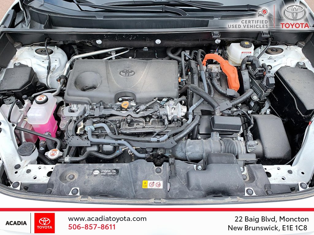 Toyota RAV4 Hybrid XSE 2023 à Moncton, Nouveau-Brunswick - 8 - w1024h768px
