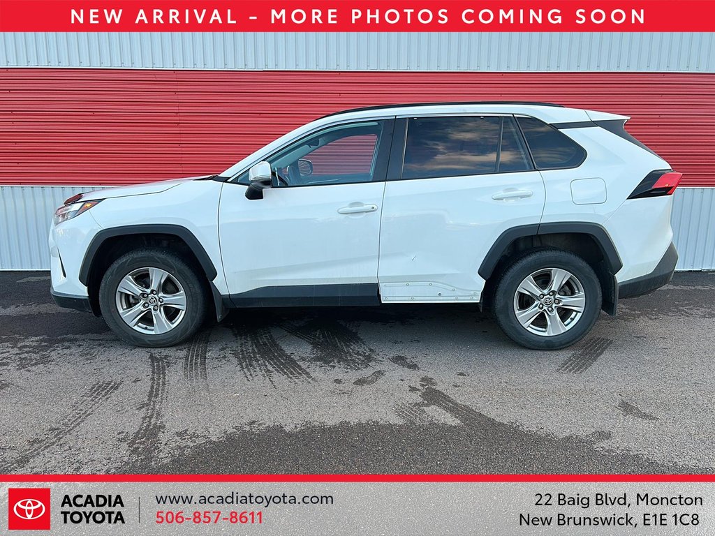 Toyota RAV4 XLE 2023 à Moncton, Nouveau-Brunswick - 5 - w1024h768px