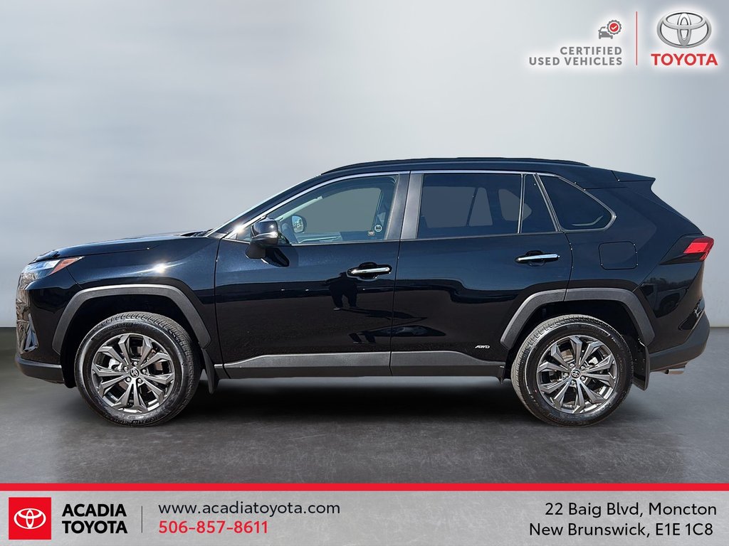 Toyota RAV4 Hybrid Limited 2024 à Moncton, Nouveau-Brunswick - 5 - w1024h768px
