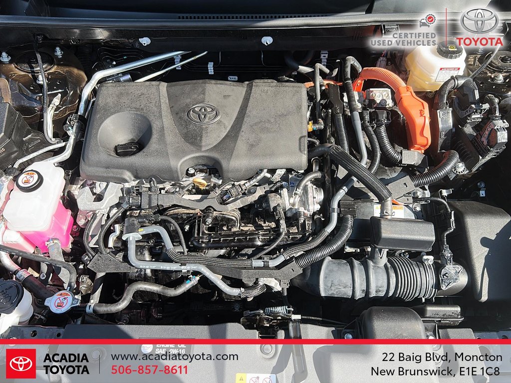 Toyota RAV4 Hybrid Limited 2024 à Moncton, Nouveau-Brunswick - 8 - w1024h768px