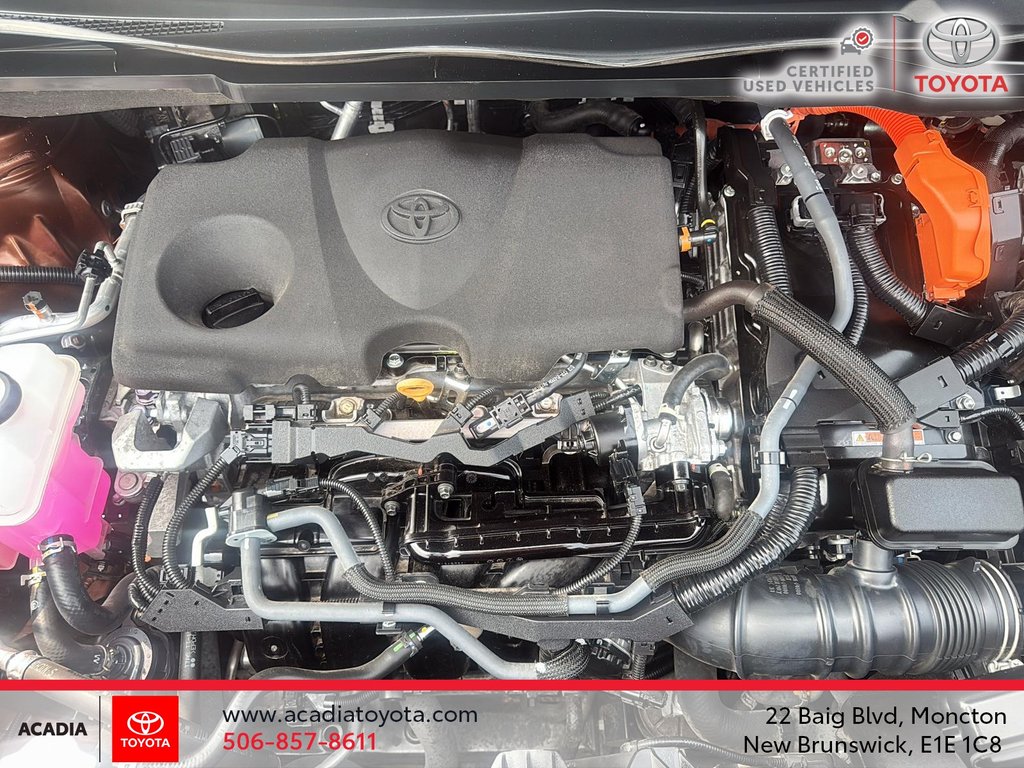 2023 Toyota Sienna Limited in Moncton, New Brunswick - 8 - w1024h768px