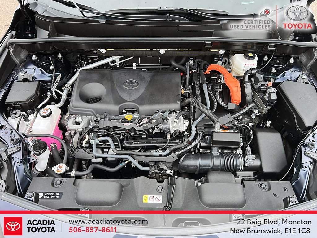 Toyota Venza Hybrid LIMITED 2023 à Moncton, Nouveau-Brunswick - 8 - w1024h768px