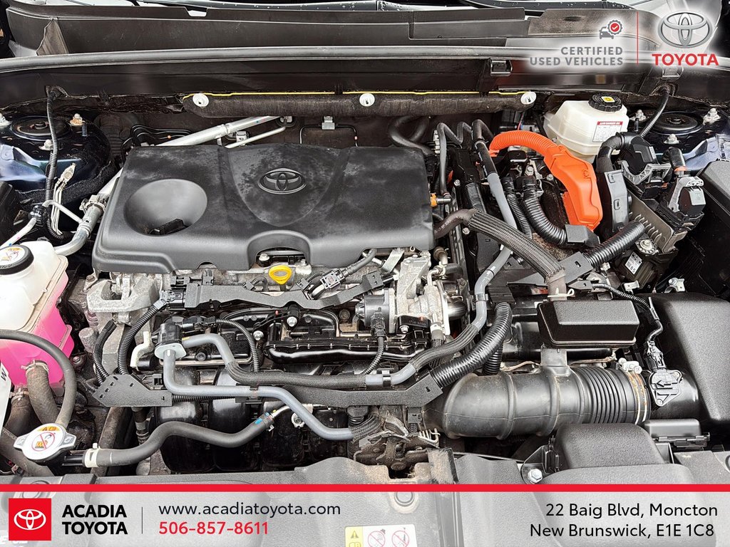Toyota Venza XLE 2022 à Moncton, Nouveau-Brunswick - 8 - w1024h768px