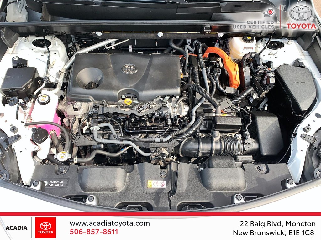 2023 Toyota Venza XLE in Moncton, New Brunswick - 8 - w1024h768px