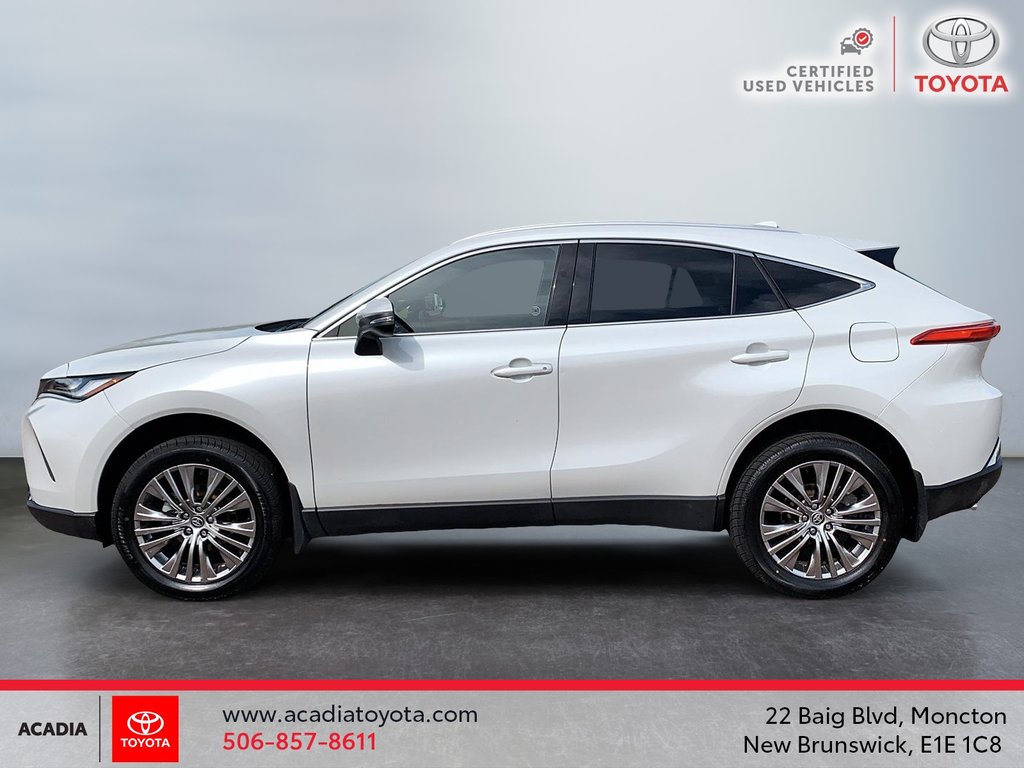 2023 Toyota Venza XLE in Moncton, New Brunswick - 5 - w1024h768px