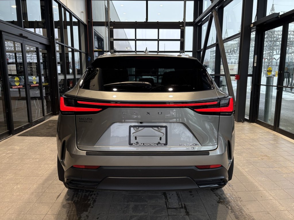 2025 Lexus NX NX 350h in Montreal, Quebec - 6 - w1024h768px