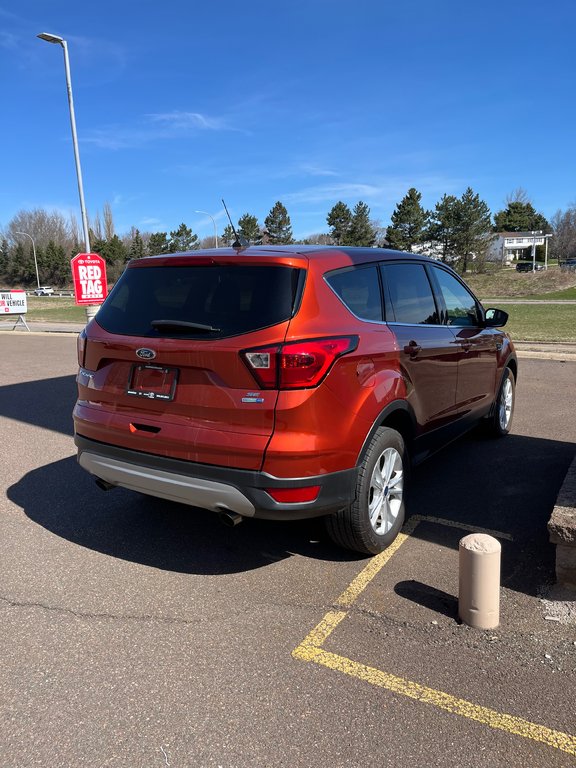 2019 Ford Escape SE in Moncton, New Brunswick - 7 - w1024h768px