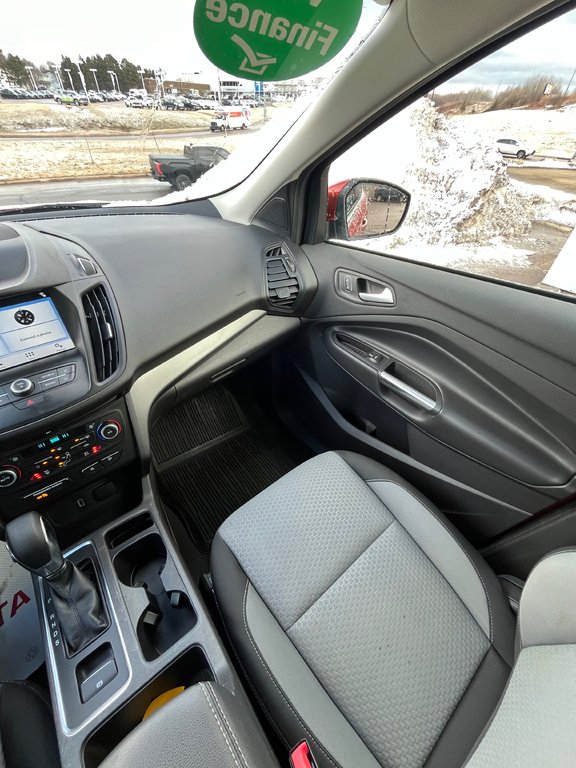 Ford Escape SE 2019 à Moncton, Nouveau-Brunswick - 13 - w1024h768px