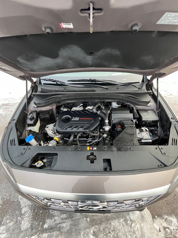 2019 Hyundai Santa Fe Ultimate in Moncton, New Brunswick - 17 - w1024h768px