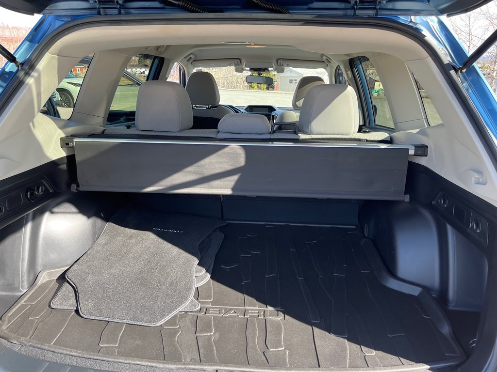 2019  Forester Convenience in Campbellton, New Brunswick - 13 - w1024h768px
