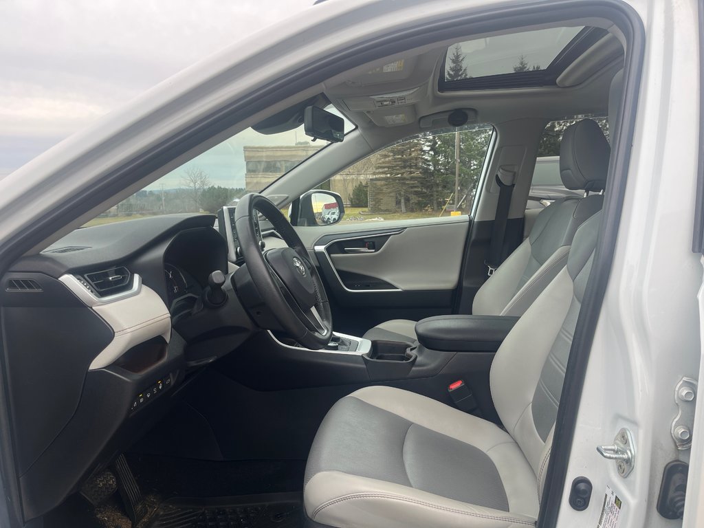 2019 Toyota RAV4 Limited in Fredericton, New Brunswick - 4 - w1024h768px