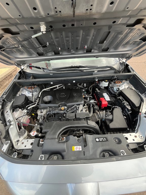 2019 Toyota RAV4 XLE in Moncton, New Brunswick - 41 - w1024h768px