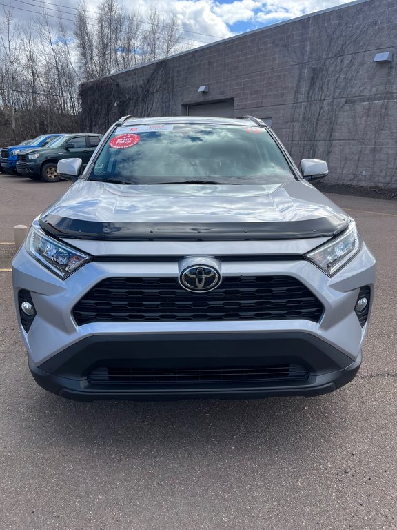 2019 Toyota RAV4 XLE in Moncton, New Brunswick - 4 - w1024h768px