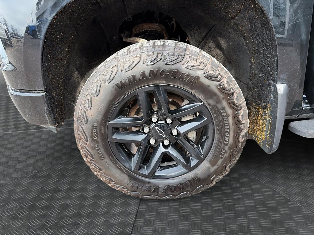 Chevrolet Silverado 1500 Custom Trail Boss 2024 à Jonquière, Québec - 6 - w1024h768px