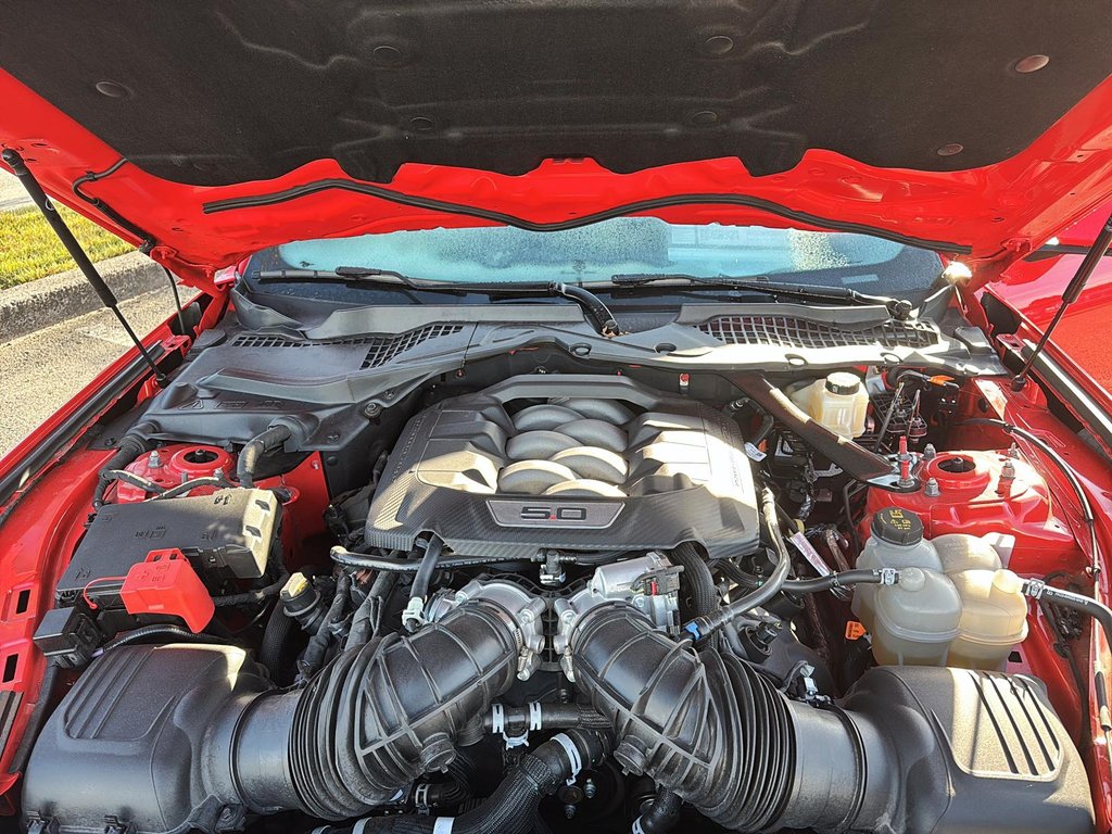 Ford Mustang  2024 à Sept-Îles, Québec - 8 - w1024h768px