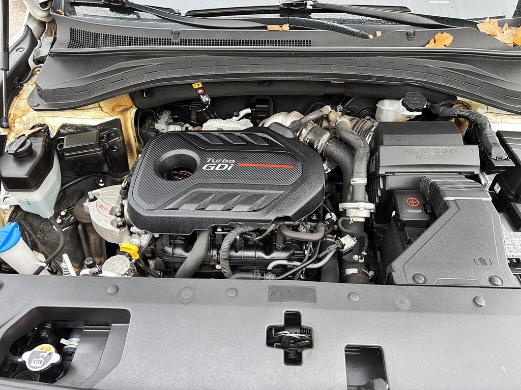 Hyundai Santa Fe  2020 à Baie-Comeau, Québec - 8 - w1024h768px