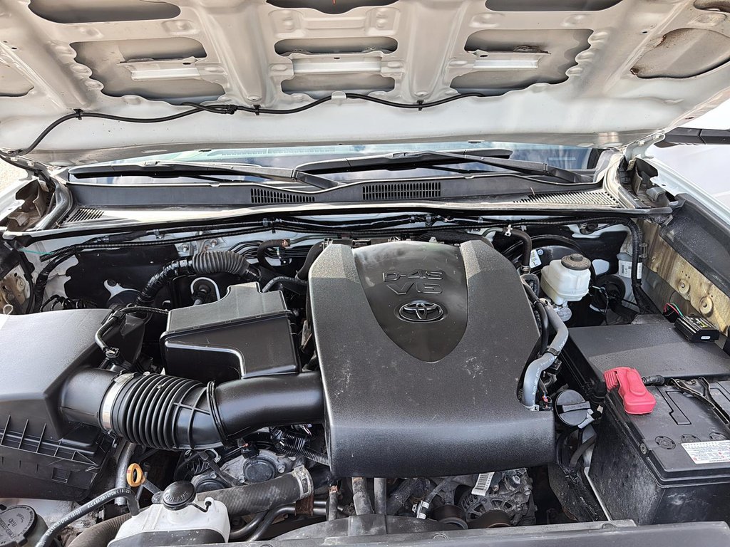 2019 Toyota Tacoma in Sept-Îles, Quebec - 9 - w1024h768px