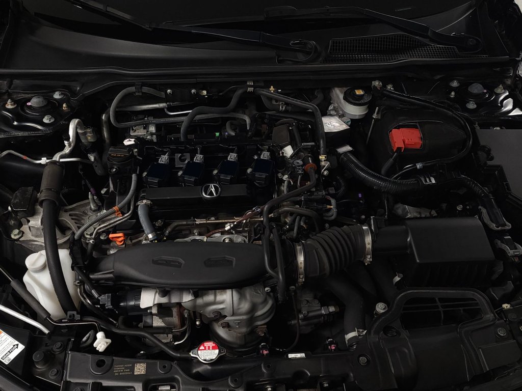 2024 Acura Integra ELITE A-SPEC MANUELLE TOIT|ANGLE MORT|ELS STUDIO in Laval, Quebec - 19 - w1024h768px