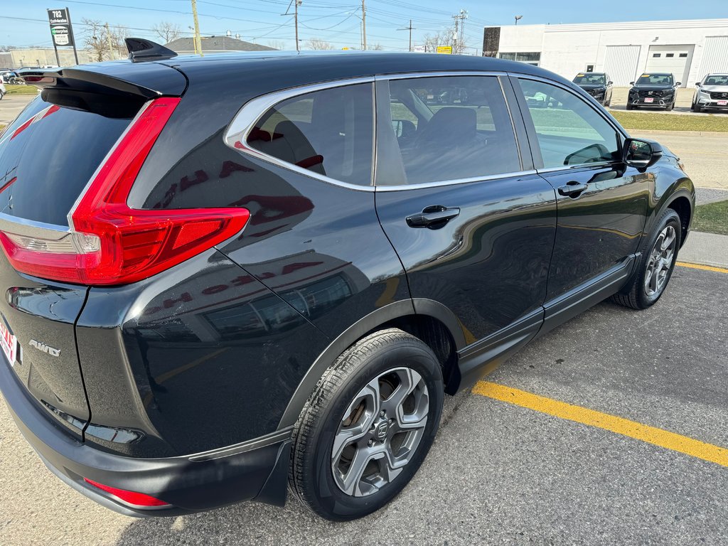 2019  CR-V EX AWD in Sarnia, Ontario - 3 - w1024h768px