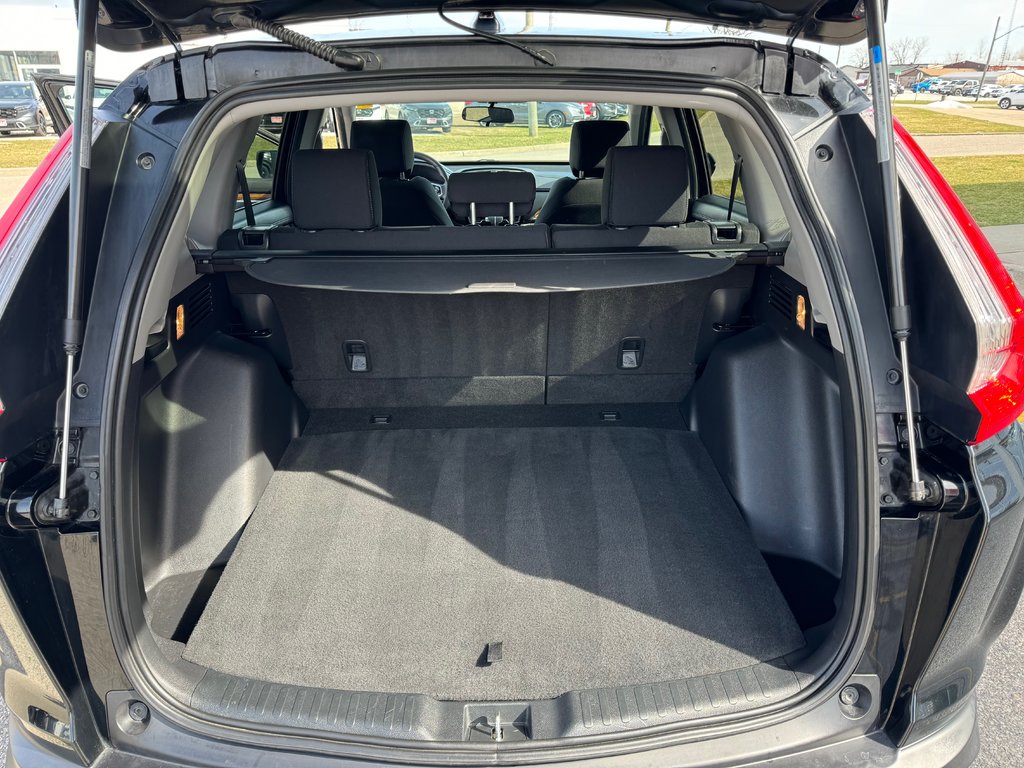 2019  CR-V EX AWD in Sarnia, Ontario - 7 - w1024h768px