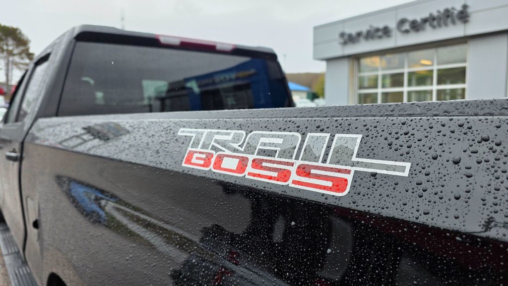 2022 Chevrolet Silverado 1500 in Mont-Laurier, Quebec - 13 - w1024h768px