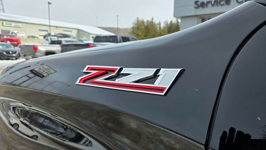 2023 Chevrolet Silverado 1500 in Mont-Laurier, Quebec - 15 - w1024h768px