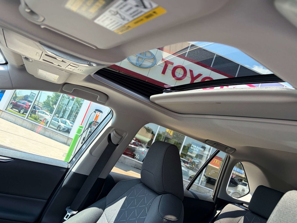 2019 Toyota RAV4 XLE in Niagara Falls, Ontario - 11 - w1024h768px