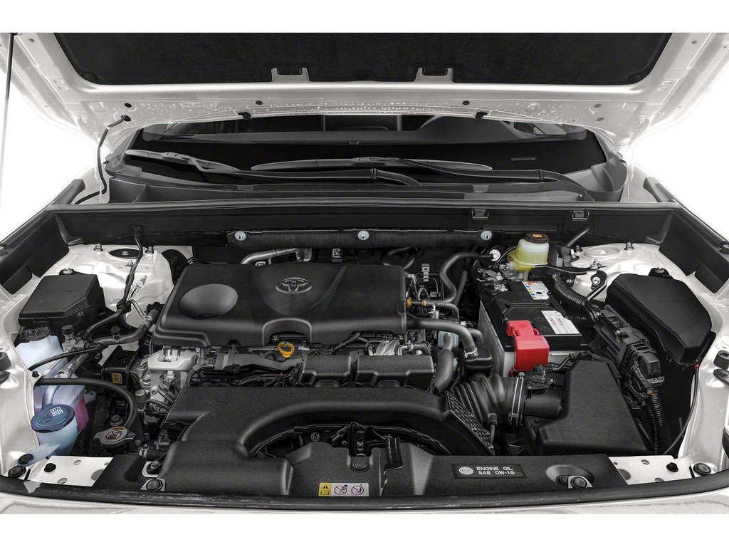 2019 Toyota RAV4 LE in Niagara Falls, Ontario - 7 - w1024h768px