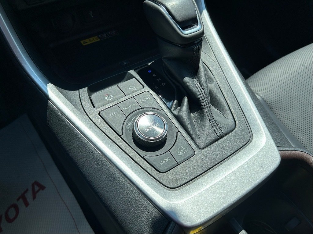 2022 Toyota RAV4 Limited in Niagara Falls, Ontario - 15 - w1024h768px