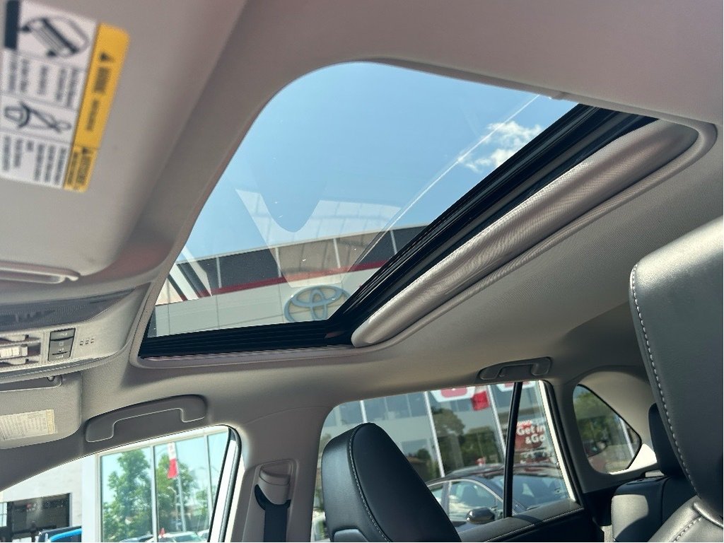 2022 Toyota RAV4 Limited in Niagara Falls, Ontario - 13 - w1024h768px