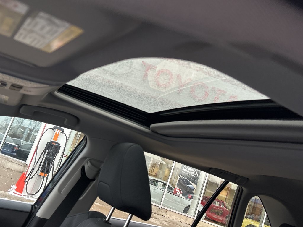 2025 Toyota RAV4 XLE in Niagara Falls, Ontario - 17 - w1024h768px