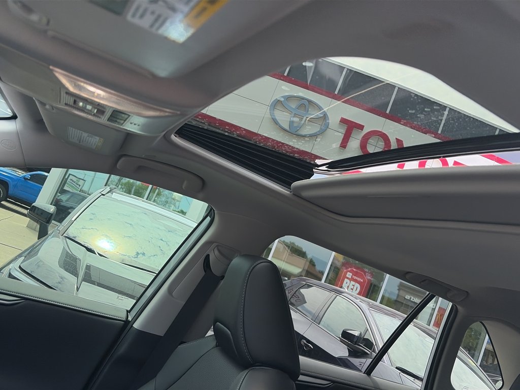 2025 Toyota RAV4 Hybrid LIMITED in Niagara Falls, Ontario - 20 - w1024h768px