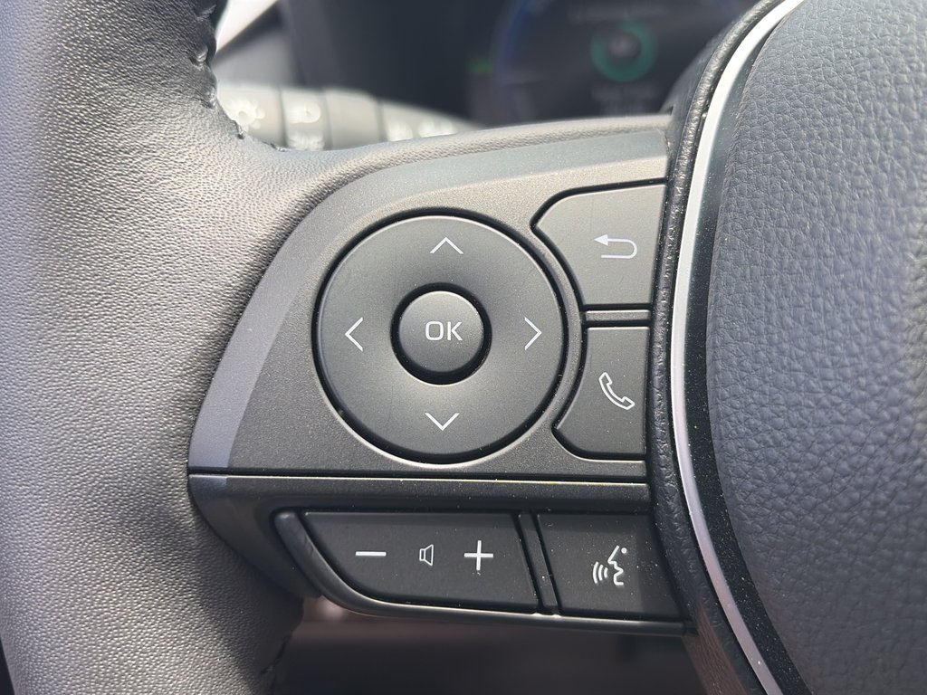 2025 Toyota RAV4 Hybrid LIMITED in Niagara Falls, Ontario - 16 - w1024h768px
