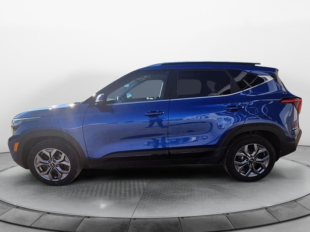 2024 Kia Seltos in Sept-Îles, Quebec - 7 - w1024h768px