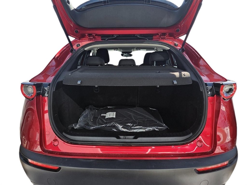 2025 Mazda CX-30 in Baie-Comeau, Quebec - 24 - w1024h768px