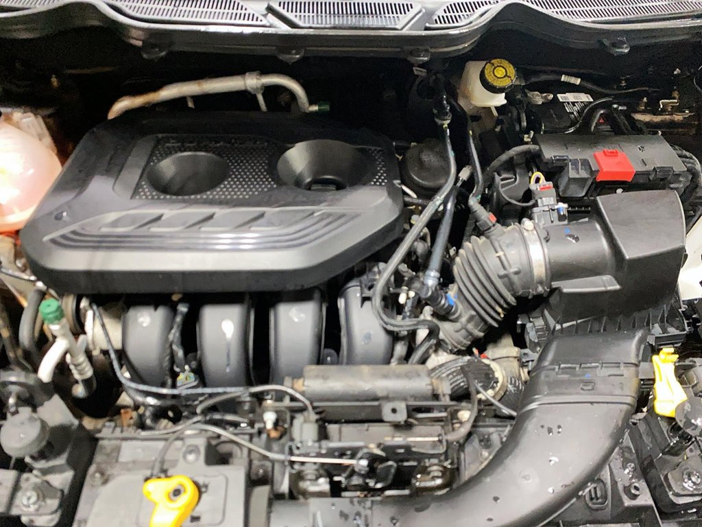 Ford EcoSport  2020 à Baie-Comeau, Québec - 8 - w1024h768px