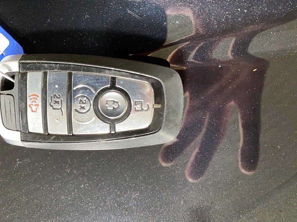 2020 Ford Edge in Baie-Comeau, Quebec - 20 - w1024h768px