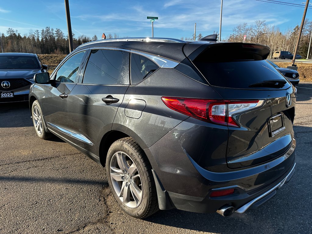 2019 Acura RDX Platinum Elite in Thunder Bay, Ontario - 23 - w1024h768px