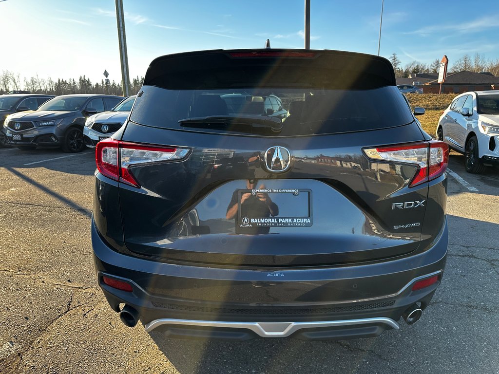 2019 Acura RDX Platinum Elite in Thunder Bay, Ontario - 25 - w1024h768px