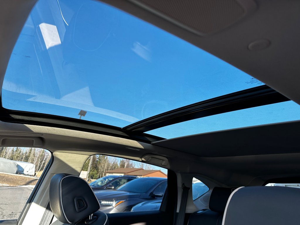 2019 Acura RDX Platinum Elite in Thunder Bay, Ontario - 17 - w1024h768px