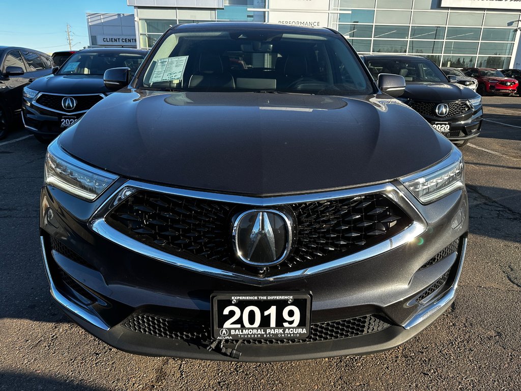 2019 Acura RDX Platinum Elite in Thunder Bay, Ontario - 8 - w1024h768px