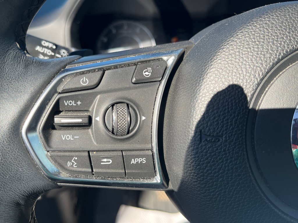 2019 Acura RDX Elite in Thunder Bay, Ontario - 17 - w1024h768px
