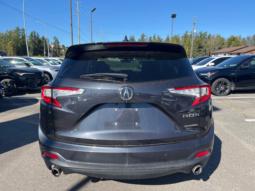 2019 Acura RDX Elite in Thunder Bay, Ontario - 6 - w1024h768px