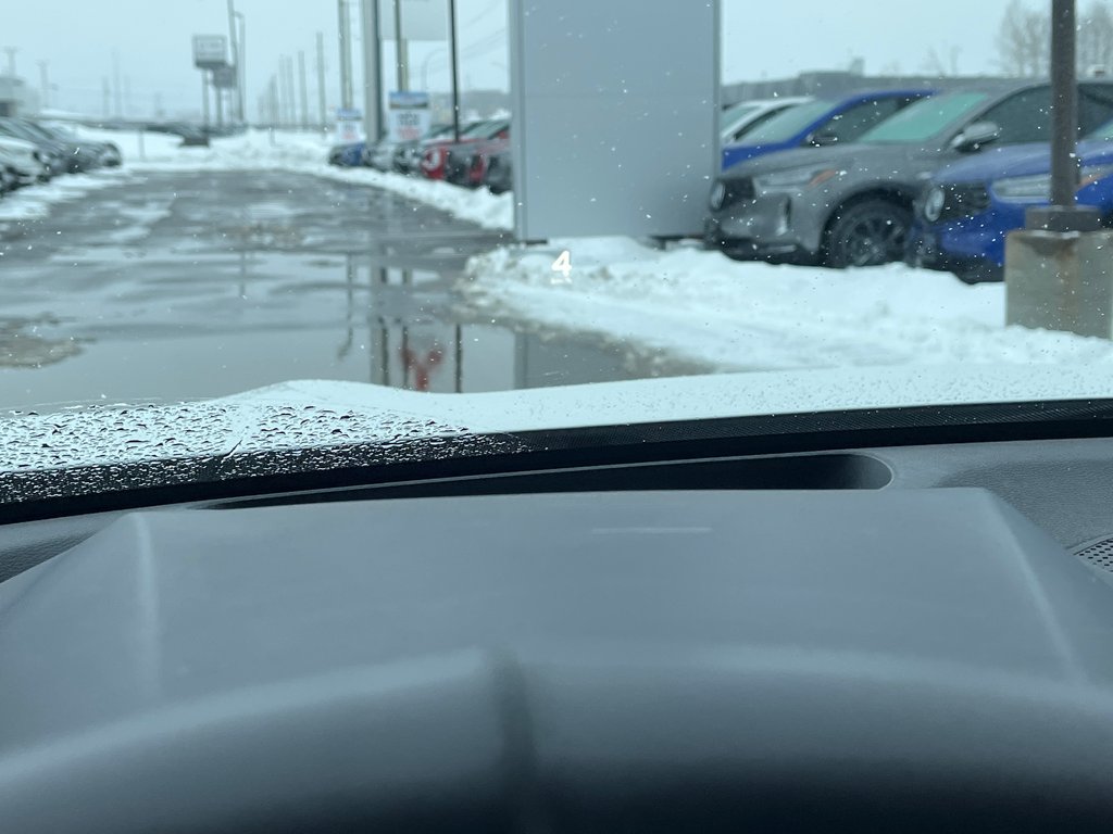 2020 Acura RDX Platinum Elite in Thunder Bay, Ontario - 21 - w1024h768px