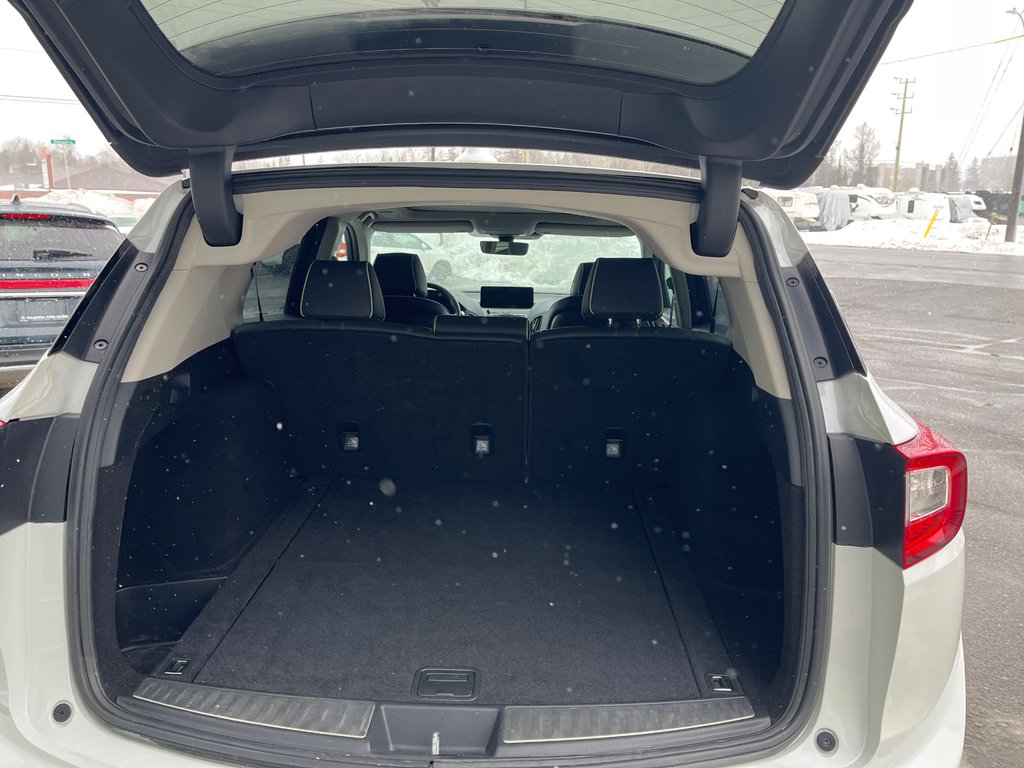 2020 Acura RDX Platinum Elite in Thunder Bay, Ontario - 9 - w1024h768px