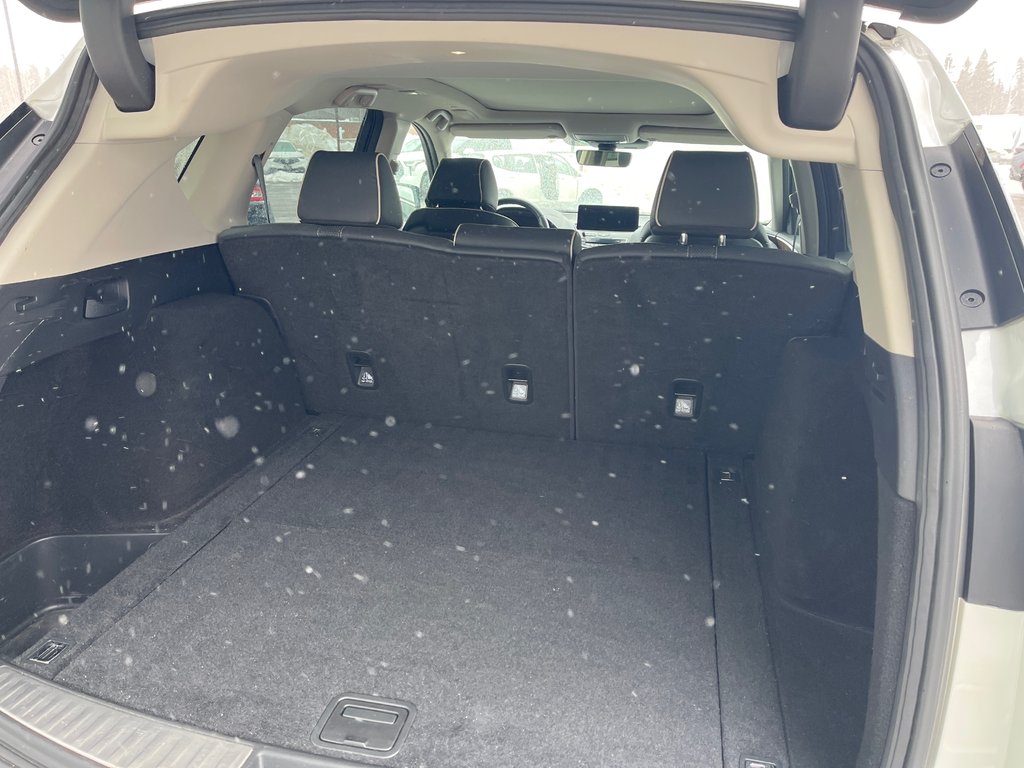 2020 Acura RDX Platinum Elite in Thunder Bay, Ontario - 10 - w1024h768px