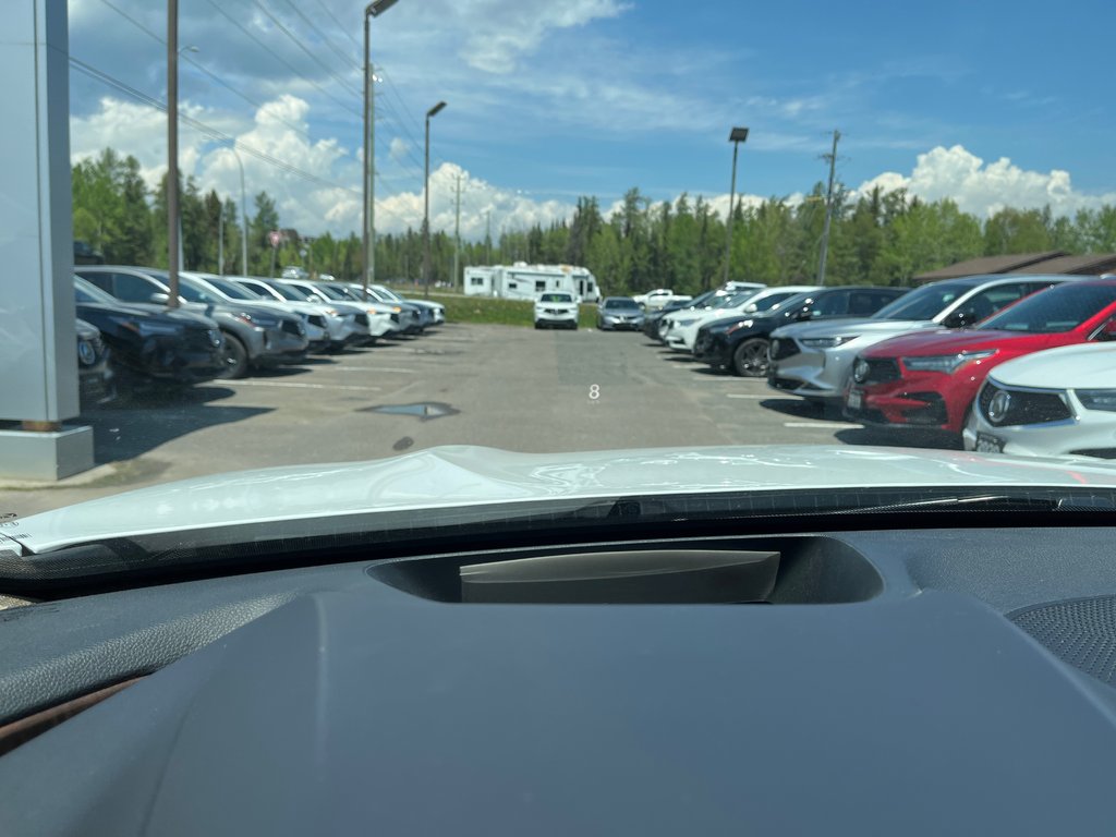 2020 Acura RDX Platinum Elite in Thunder Bay, Ontario - 22 - w1024h768px