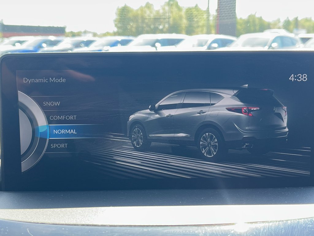 2022 Acura RDX in Thunder Bay, Ontario - 20 - w1024h768px
