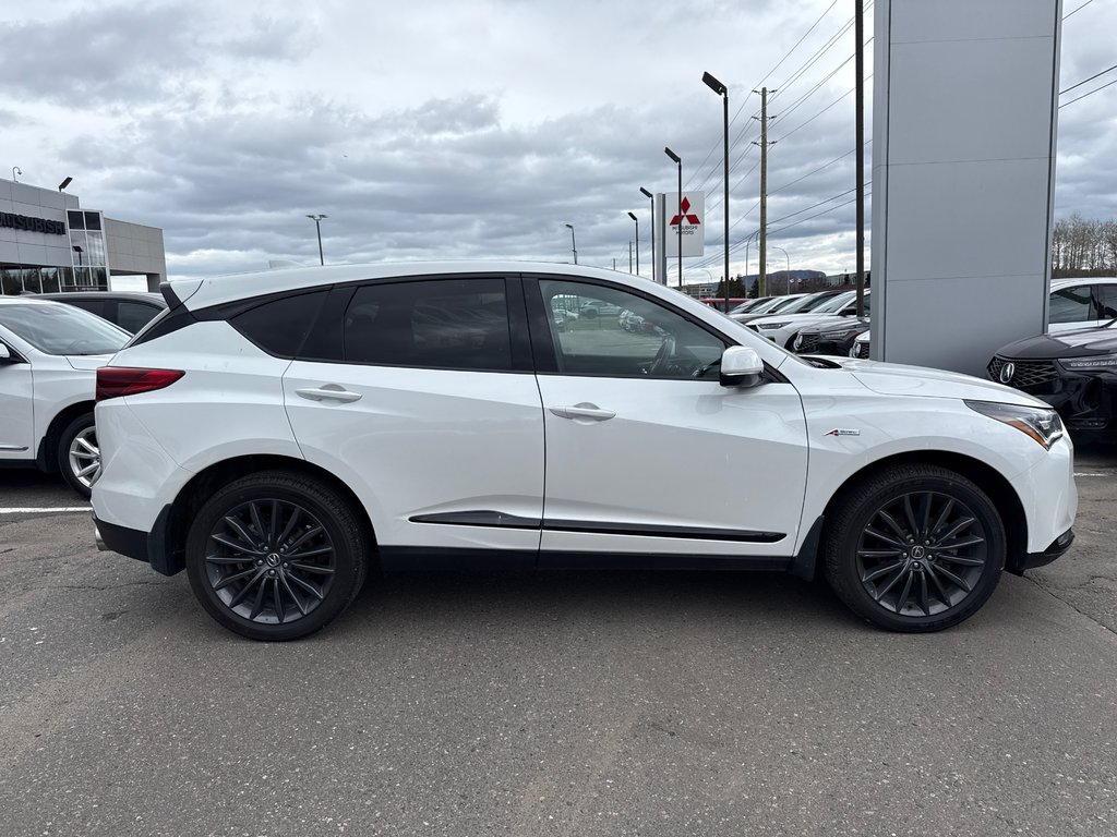 2023 Acura RDX Platinum Elite A-Spec in Thunder Bay, Ontario - 6 - w1024h768px