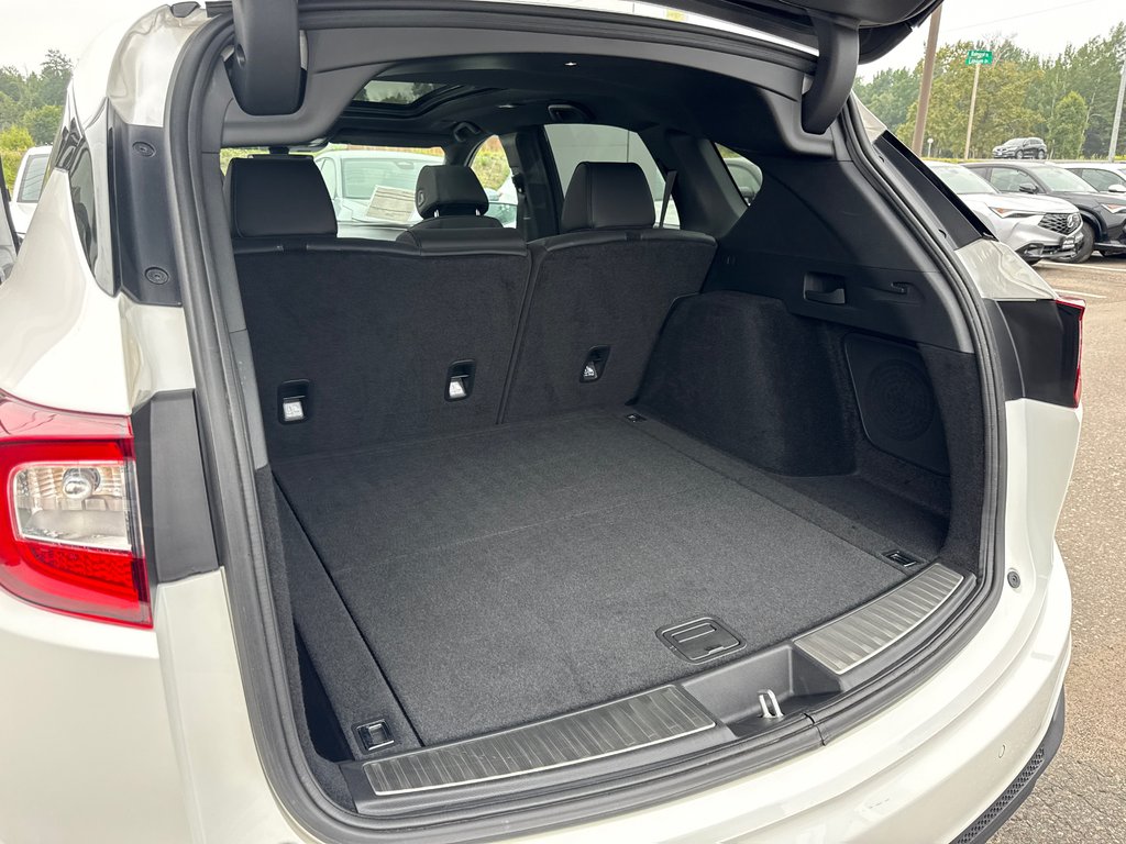 2023 Acura RDX Platinum Elite A-Spec in Thunder Bay, Ontario - 10 - w1024h768px